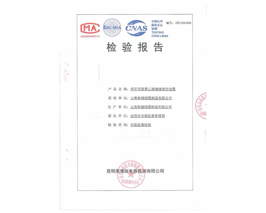 檢驗報告