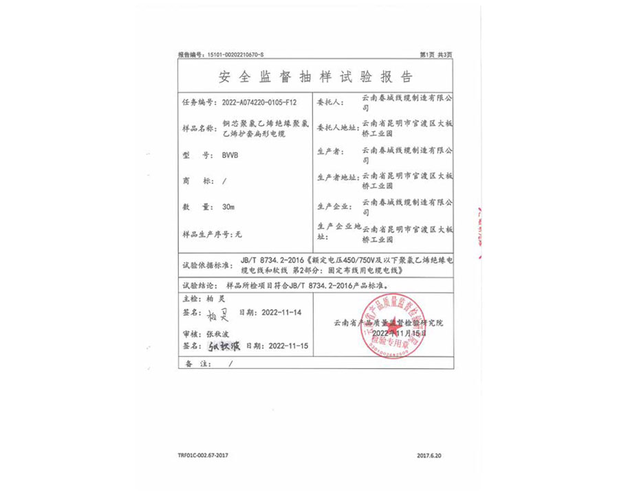 安全監(jiān)督抽樣試驗報告