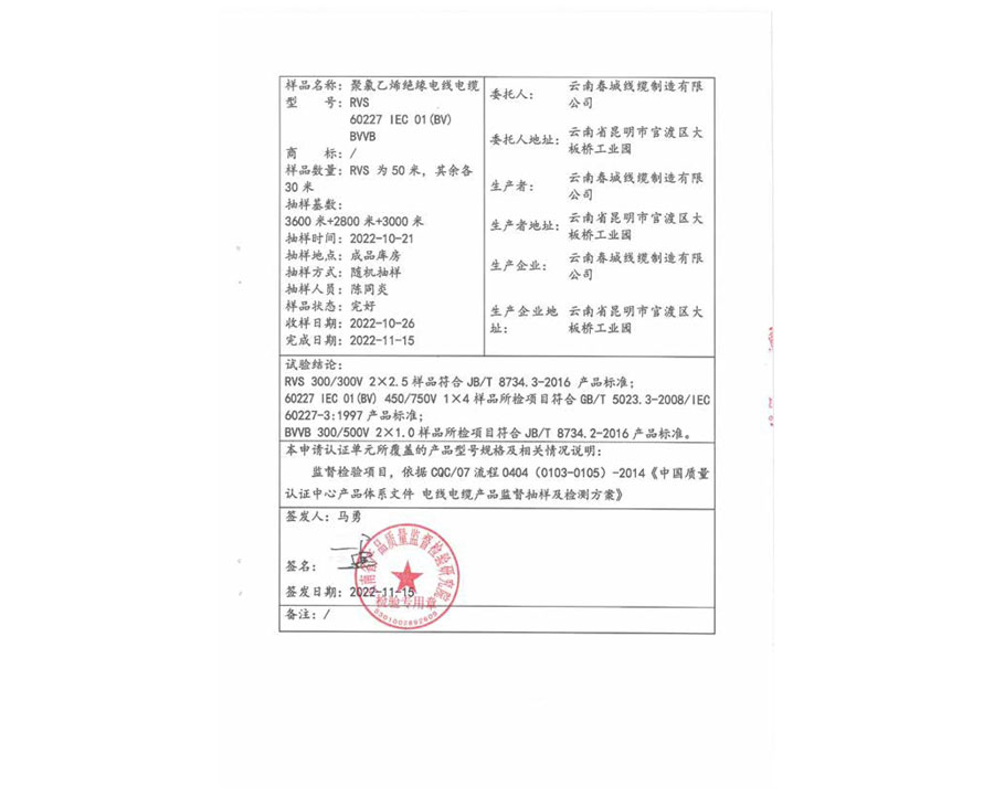 安全監(jiān)督抽樣試驗報告