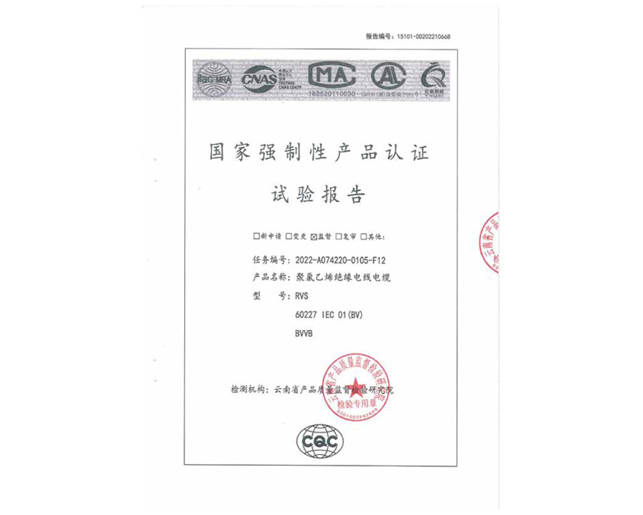 安全監(jiān)督抽樣試驗報告