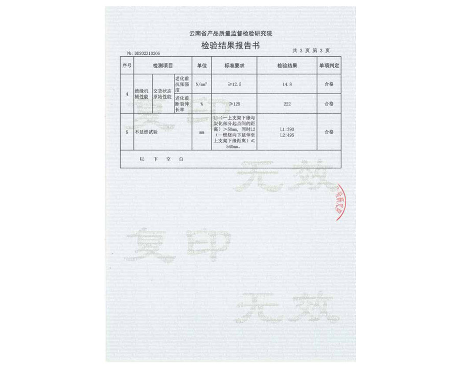 檢驗(yàn)結(jié)果報(bào)告書(shū)