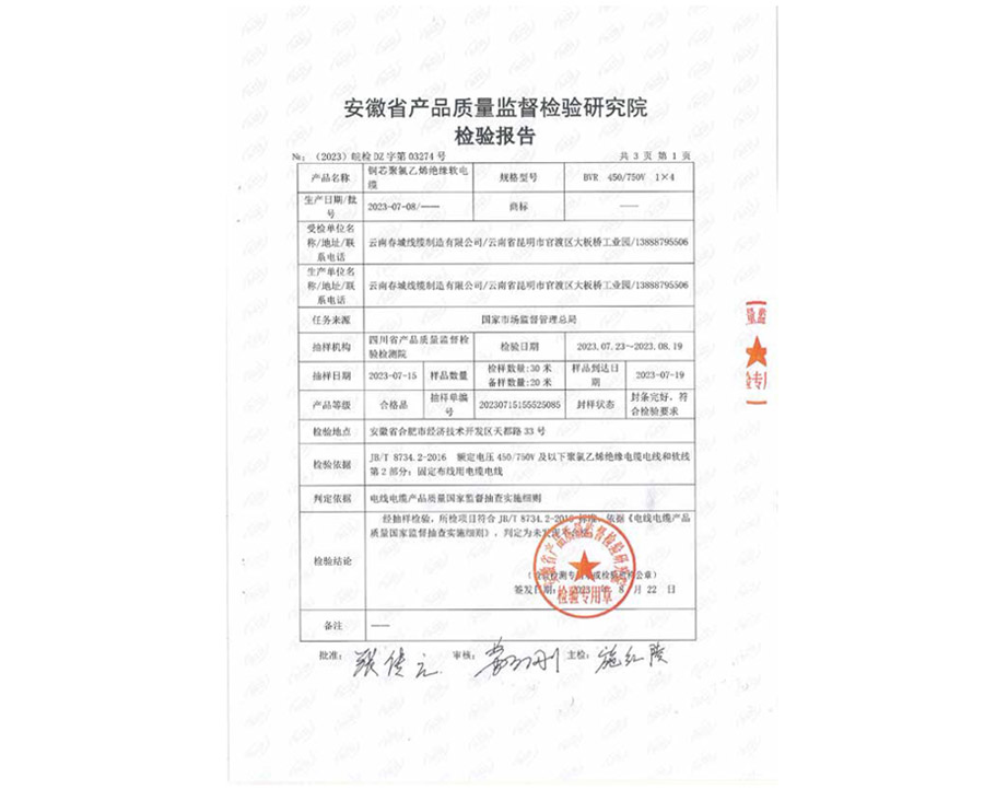 檢驗(yàn)報(bào)告