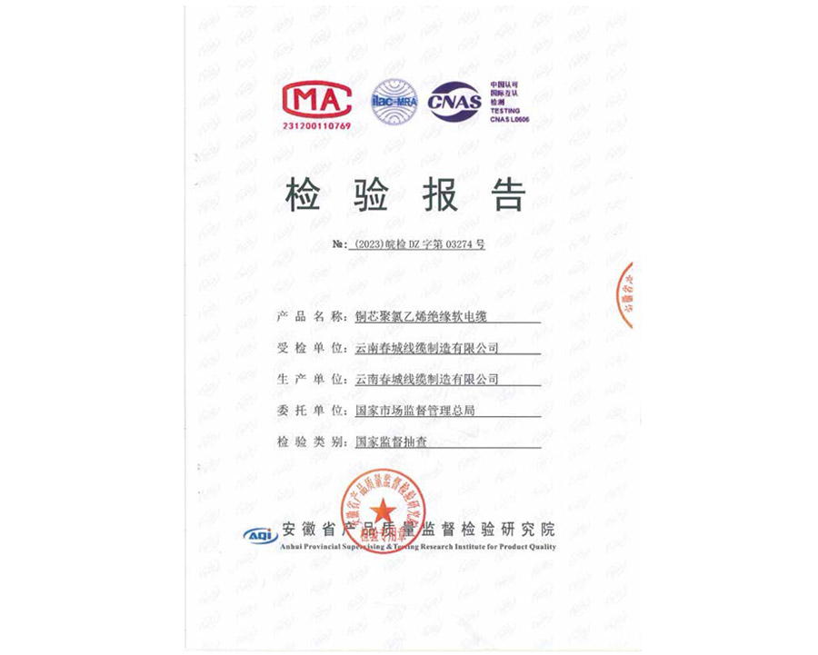 檢驗(yàn)報(bào)告