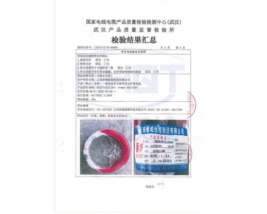 檢驗(yàn)結(jié)果匯總