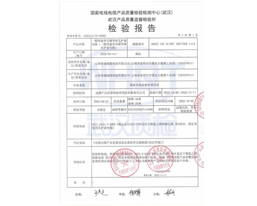 檢驗(yàn)報(bào)告