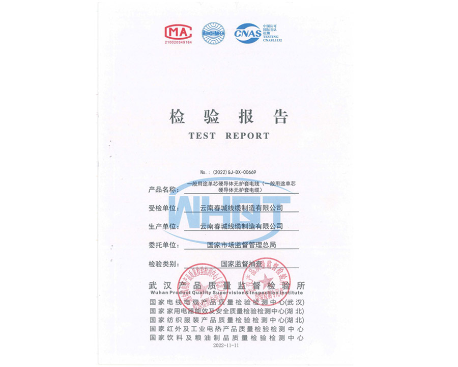 檢驗(yàn)報(bào)告
