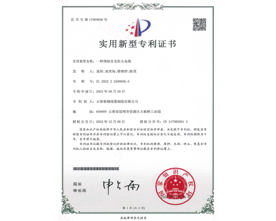 實(shí)用新型專(zhuān)利證書(shū)