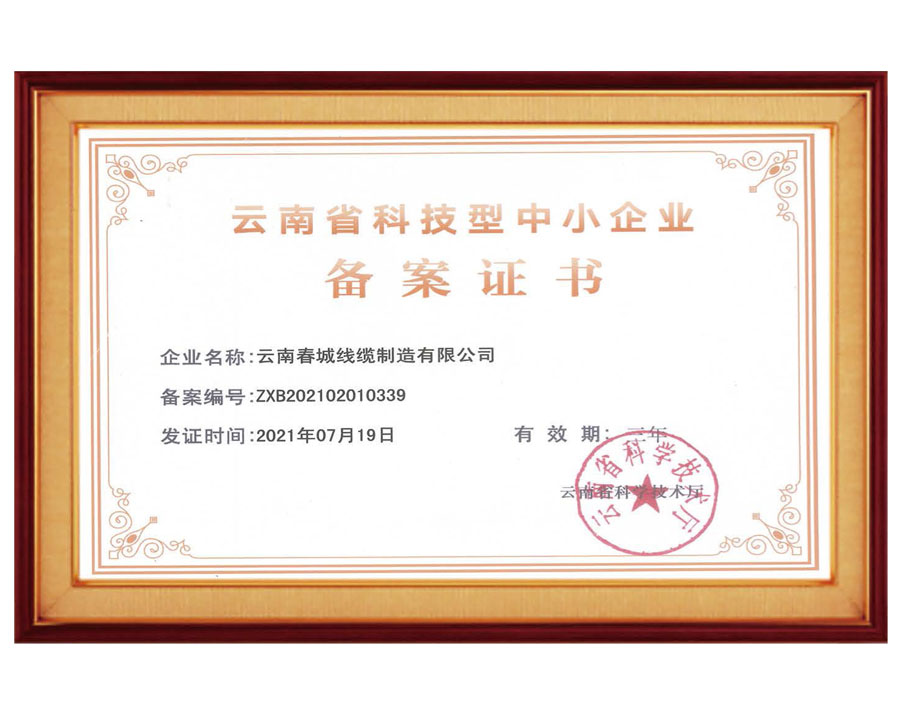 云南省科技型中小企業備案證書