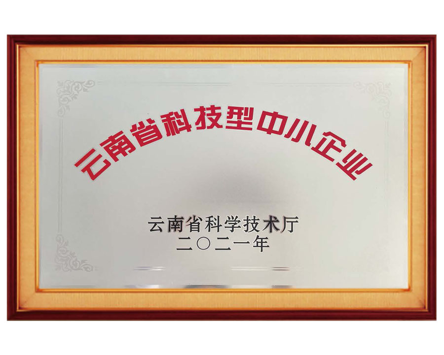 云南省科技型中小企業